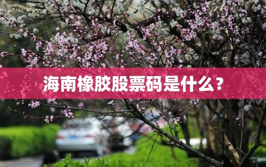 海南橡胶股票码是什么? 海南橡胶股票码是什么?