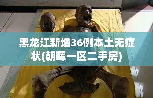 黑龙江新增36例本土无症状(朝晖一区二手房) 黑龙江新增36例本土无症状(朝晖一区二手房)