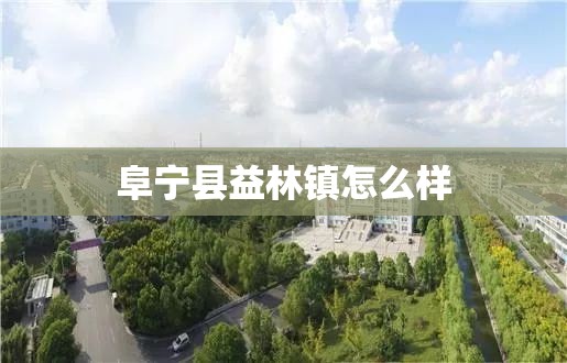 阜宁县益林镇怎么样 阜宁县益林镇怎么样