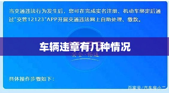 车辆违章有几种情况/车辆违章是违法吗