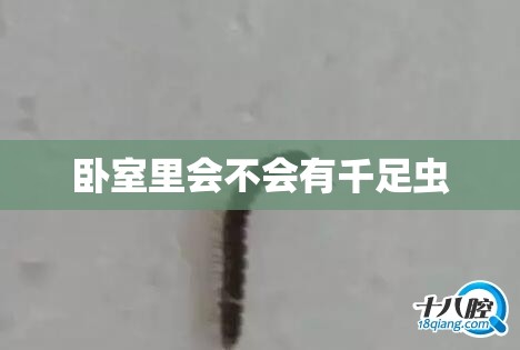 卧室里会不会有千足虫/卧室有虫子有什么预兆 卧室里会不会有千足虫/卧室有虫子有什么预兆