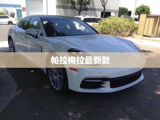 帕拉梅拉最新款/帕拉梅拉最新款费用 帕拉梅拉最新款/帕拉梅拉最新款费用