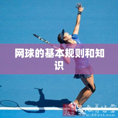 网球的基本规则和知识 网球的基本规则和知识