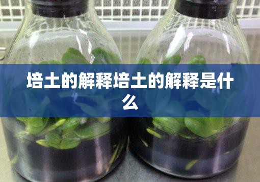 培土的解释培土的解释是什么 培土的解释培土的解释是什么