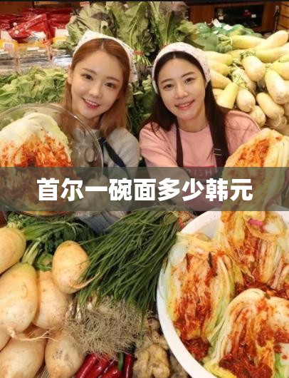 首尔一碗面多少韩元 首尔一碗面多少韩元
