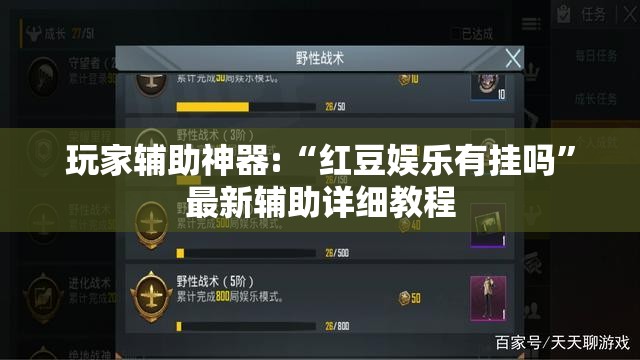 玩家辅助神器:“红豆娱乐有挂吗”最新辅助详细教程