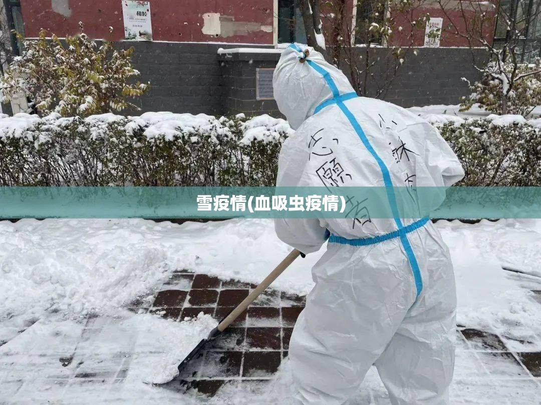 雪疫情(血吸虫疫情) 雪疫情(血吸虫疫情)