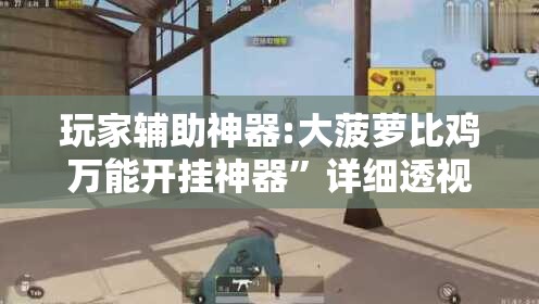 玩家辅助神器:大菠萝比鸡万能开挂神器	”详细透视教程