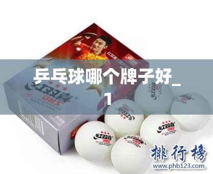 乒乓球哪个牌子好_1 乒乓球哪个牌子好_1