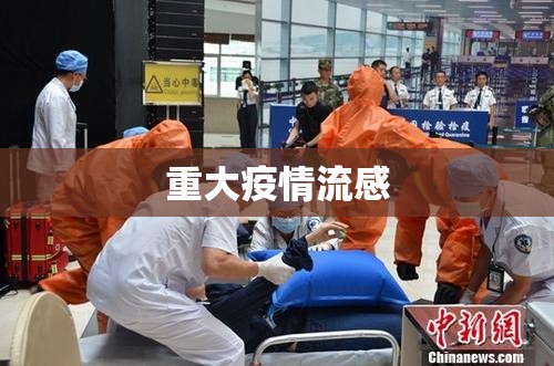重大疫情流感/2021流感突发公共卫生事件应急预案