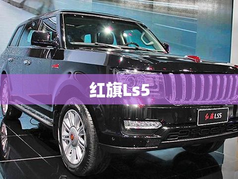 红旗Ls5 红旗Ls5