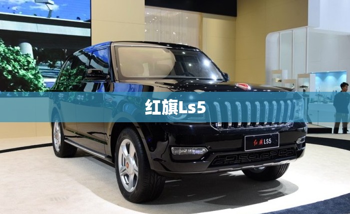红旗Ls5 红旗Ls5