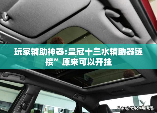 玩家辅助神器:皇冠十三水辅助器链接”原来可以开挂