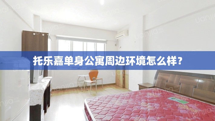 托乐嘉单身公寓周边环境怎么样? 托乐嘉单身公寓周边环境怎么样?