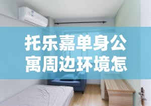 托乐嘉单身公寓周边环境怎么样? 托乐嘉单身公寓周边环境怎么样?