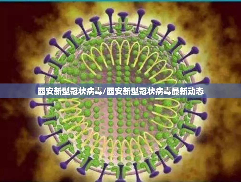 西安新型冠状病毒/西安新型冠状病毒最新动态