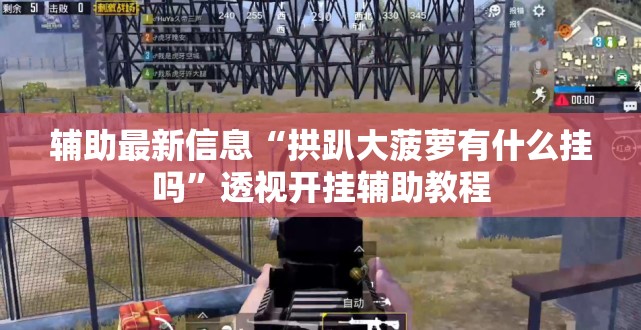 辅助最新信息“拱趴大菠萝有什么挂吗”透视开挂辅助教程