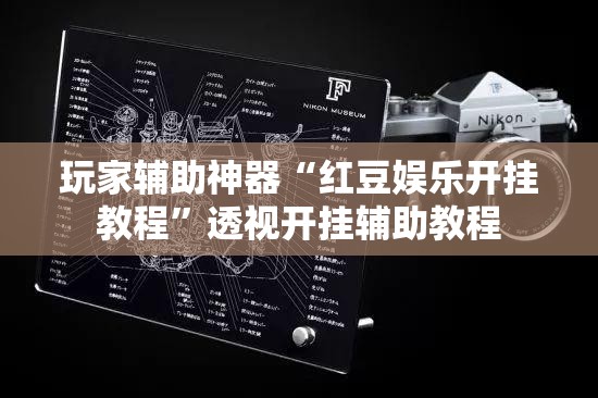 玩家辅助神器“红豆娱乐开挂教程”透视开挂辅助教程