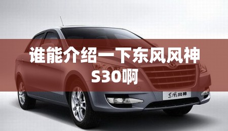 谁能介绍一下东风风神S30啊