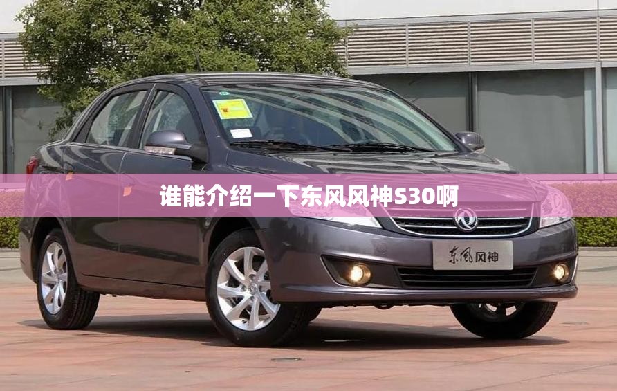 谁能介绍一下东风风神S30啊