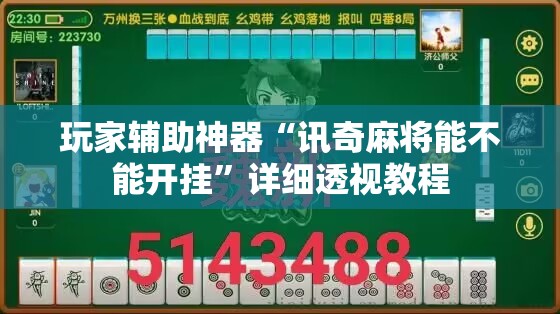 玩家辅助神器“讯奇麻将能不能开挂”详细透视教程