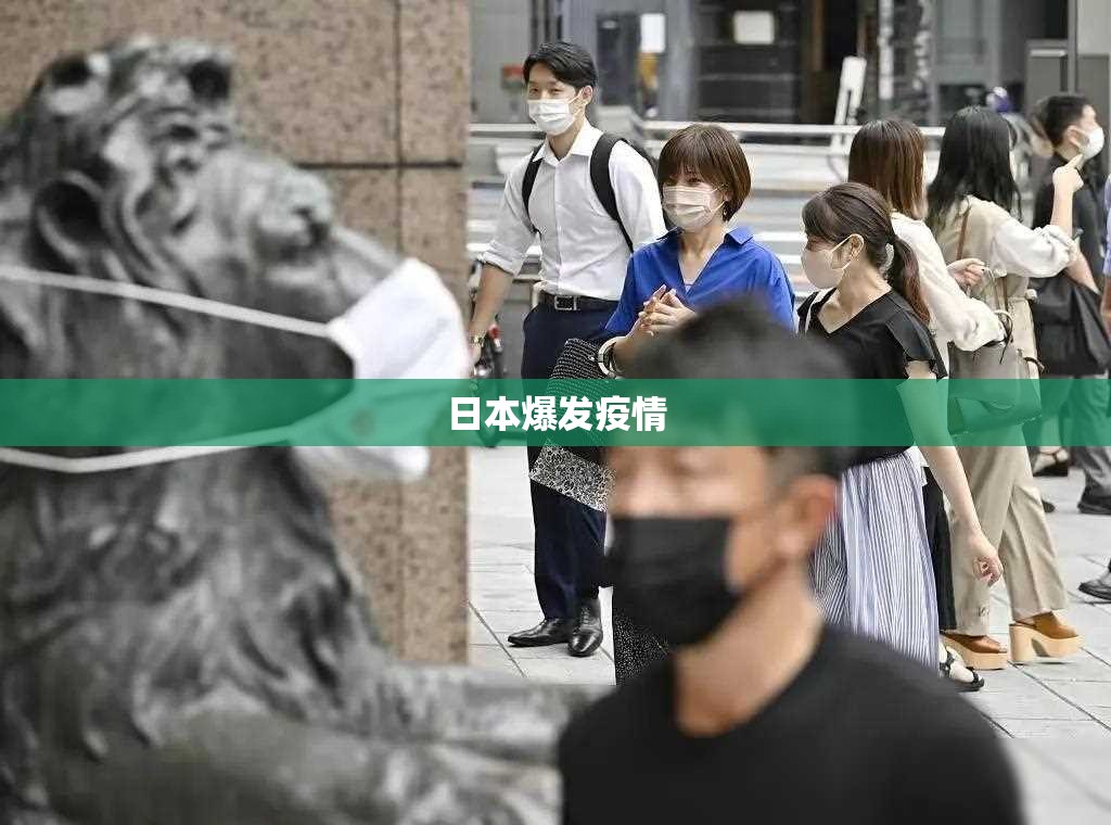 国产汽车膜十大排名 国产汽车膜十大排名