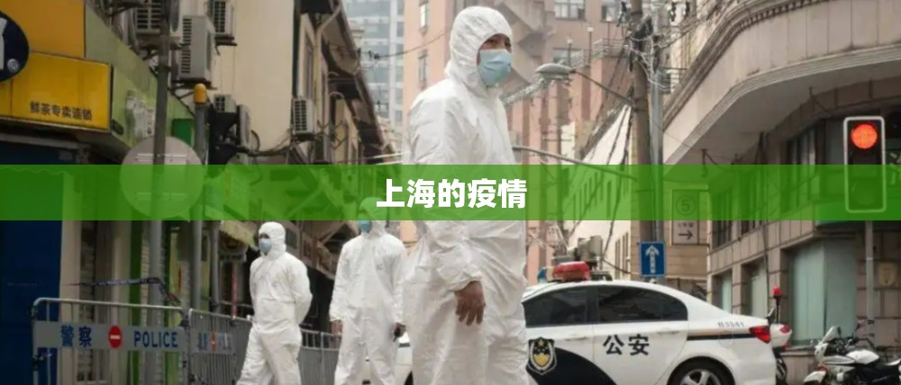 【上海的疫情,上海的疫情有几例】
