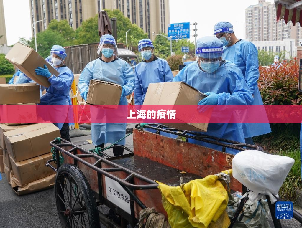 【上海的疫情,上海的疫情有几例】