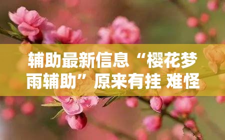 辅助最新信息“樱花梦雨辅助”原来有挂 难怪会一直输