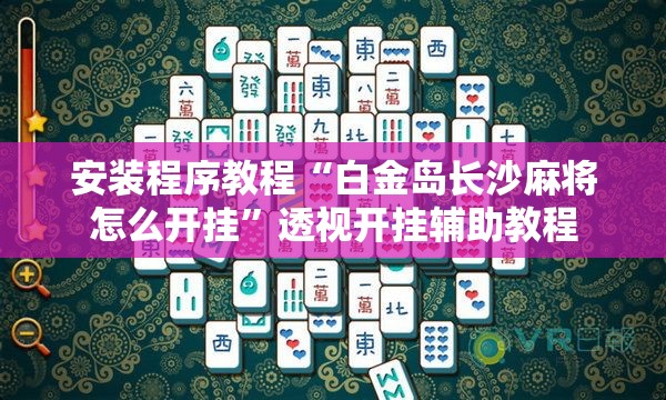 安装程序教程“白金岛长沙麻将怎么开挂”透视开挂辅助教程