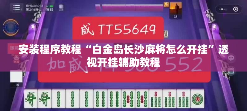 安装程序教程“白金岛长沙麻将怎么开挂”透视开挂辅助教程