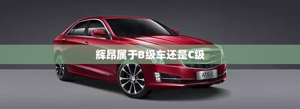 辉昂属于B级车还是C级 辉昂属于B级车还是C级