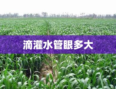 滴灌水管眼多大