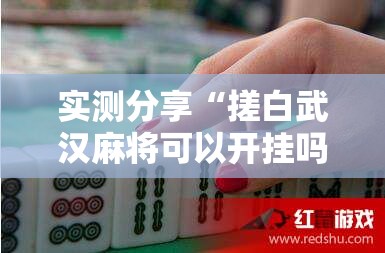 实测分享“搓白武汉麻将可以开挂吗”原来有挂 难怪会一直输