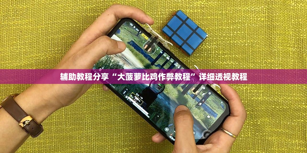 辅助教程分享“大菠萝比鸡作弊教程”详细透视教程