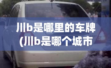 川b是哪里的车牌(川b是哪个城市的车牌代码) 川b是哪里的车牌(川b是哪个城市的车牌代码)