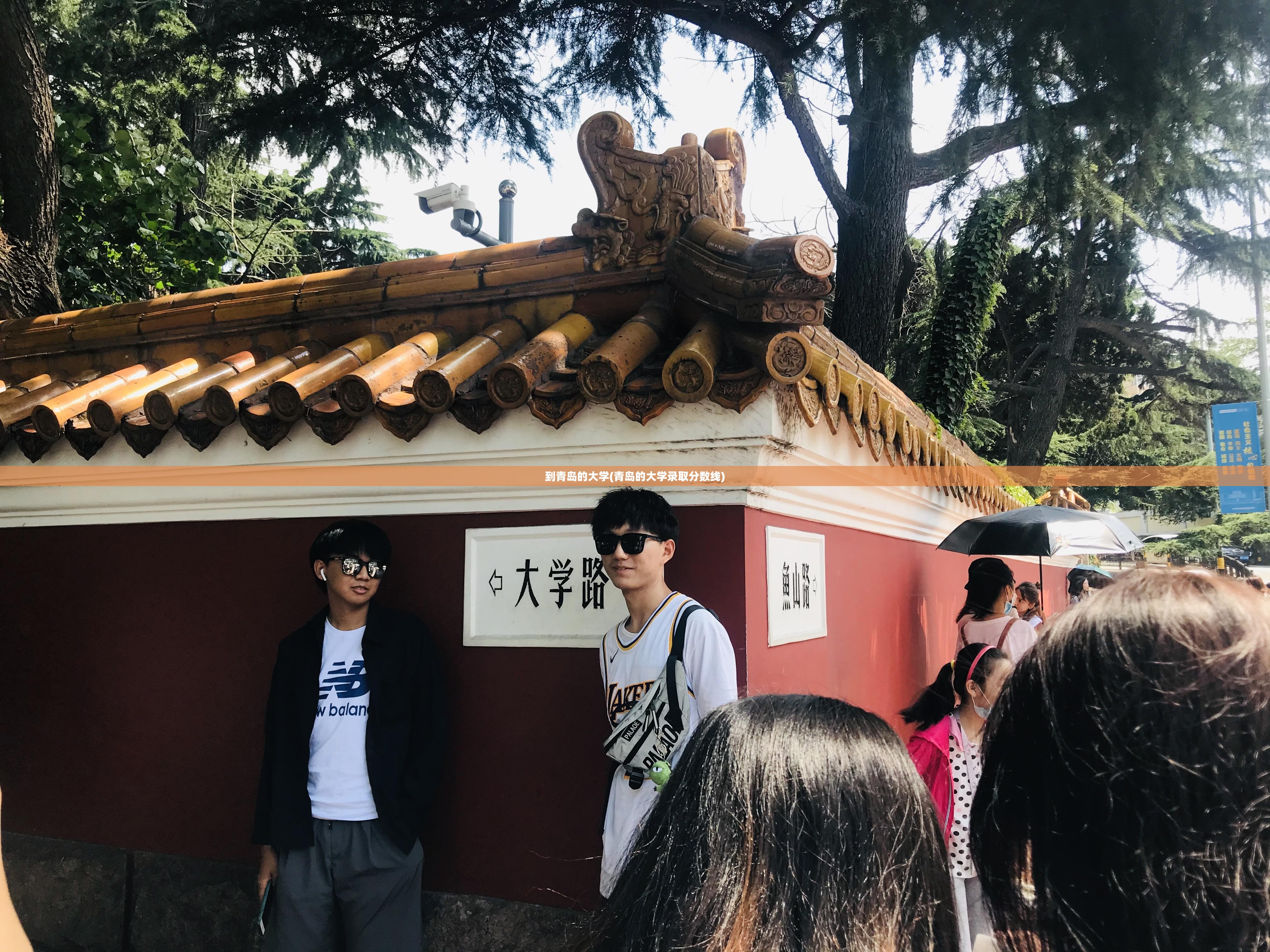 到青岛的大学(青岛的大学录取分数线)