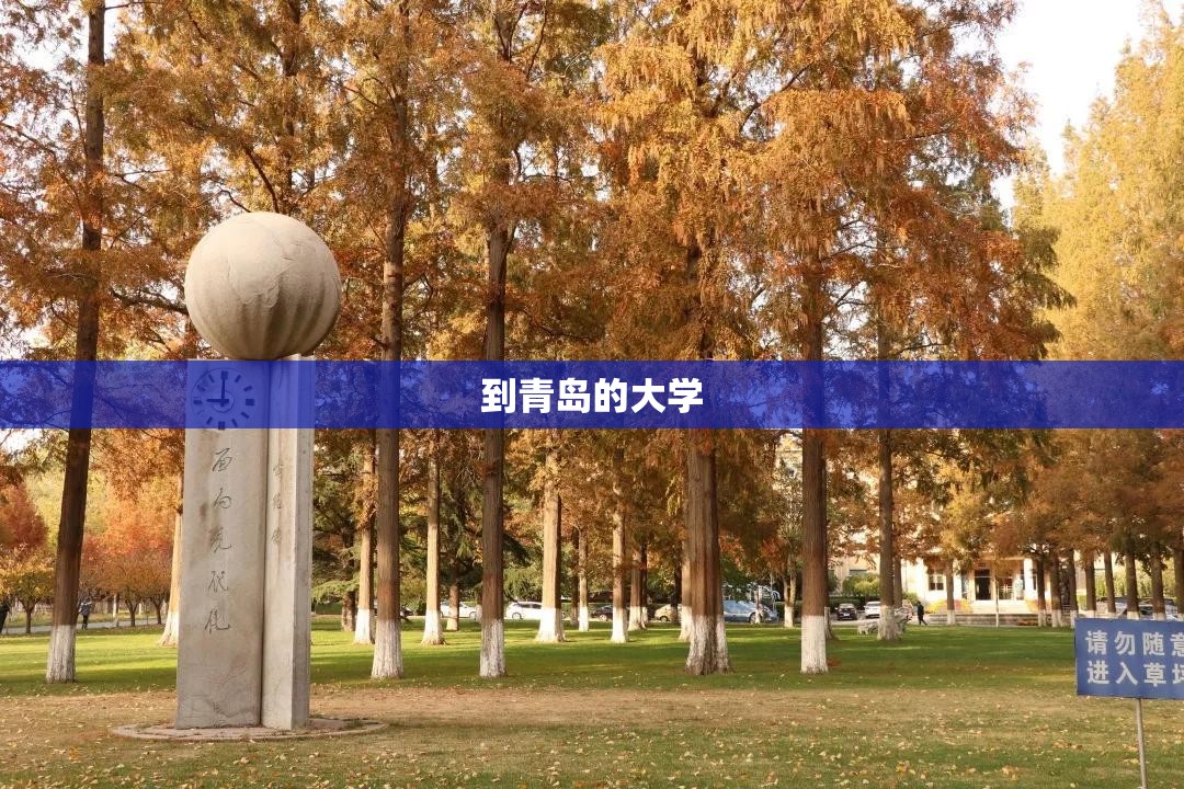 到青岛的大学(青岛的大学录取分数线)