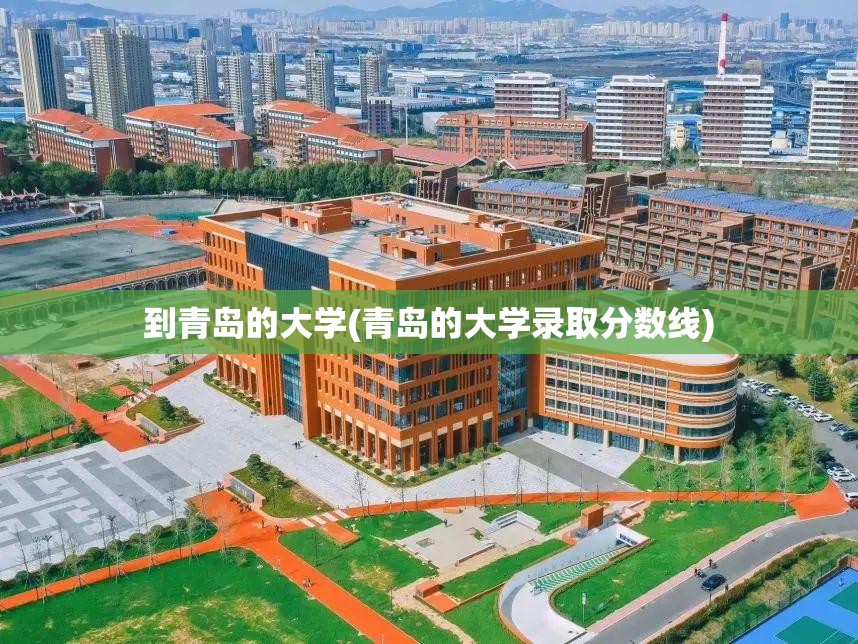 到青岛的大学(青岛的大学录取分数线)