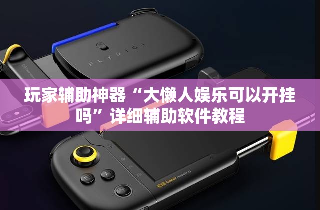 玩家辅助神器“大懒人娱乐可以开挂吗”详细辅助软件教程