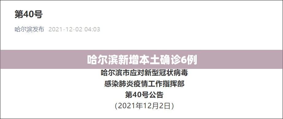 哈尔滨新增本土确诊6例/黑龙江新增本土确诊35例 哈尔滨新增本土确诊6例/黑龙江新增本土确诊35例