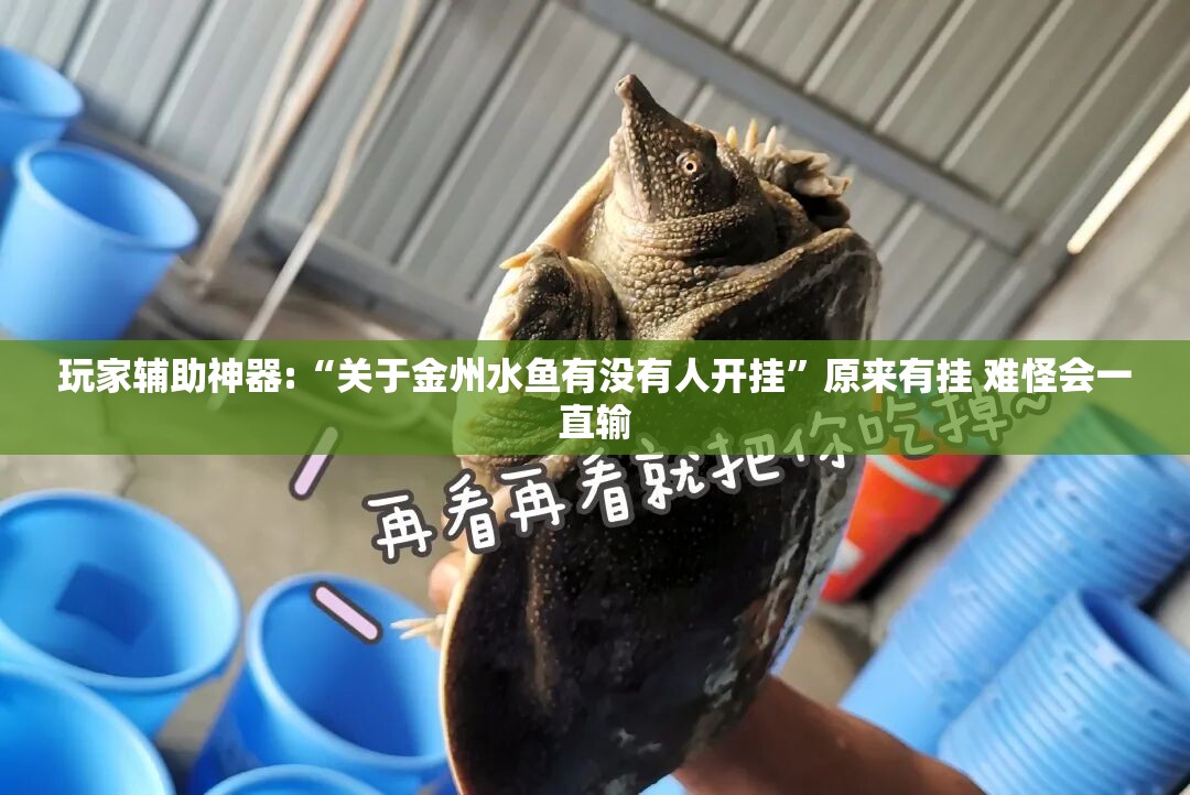 玩家辅助神器:“关于金州水鱼有没有人开挂”原来有挂 难怪会一直输