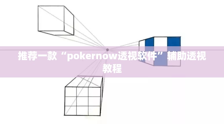 推荐一款“pokernow透视软件”辅助透视教程