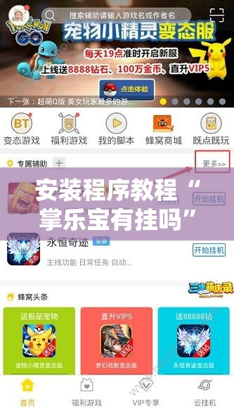 安装程序教程“掌乐宝有挂吗”辅助透视教程