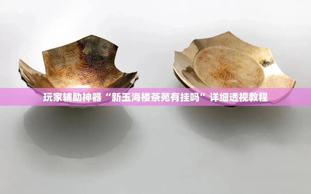 玩家辅助神器“新玉海楼茶苑有挂吗	”详细透视教程