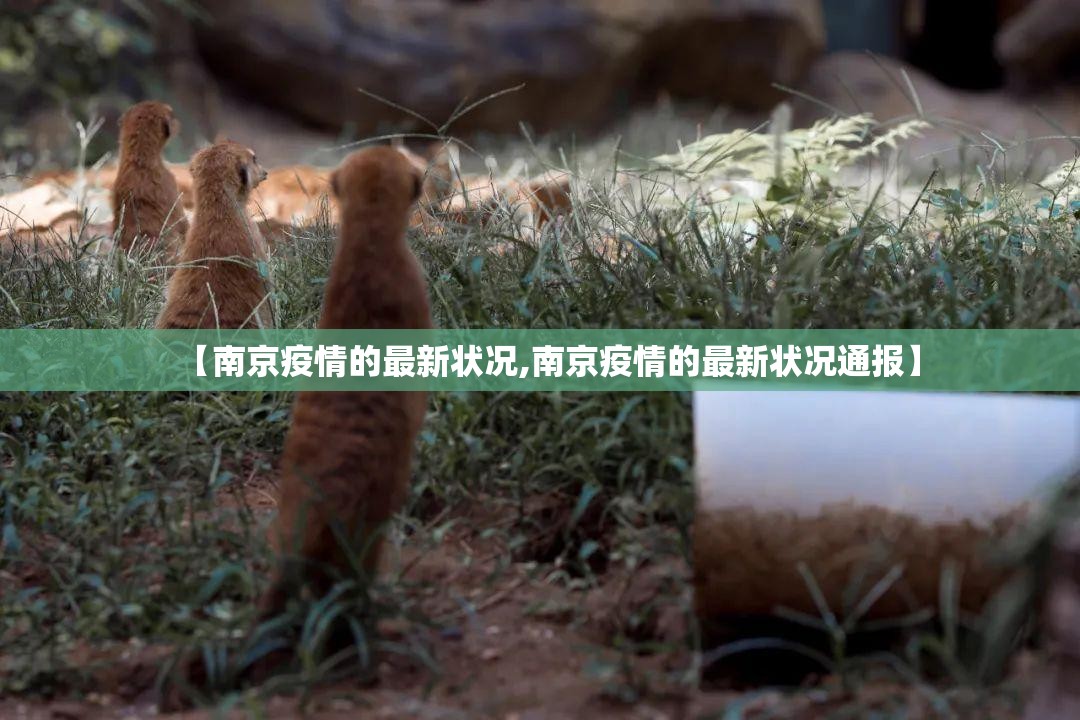 【南京疫情的最新状况,南京疫情的最新状况通报】 【南京疫情的最新状况,南京疫情的最新状况通报】