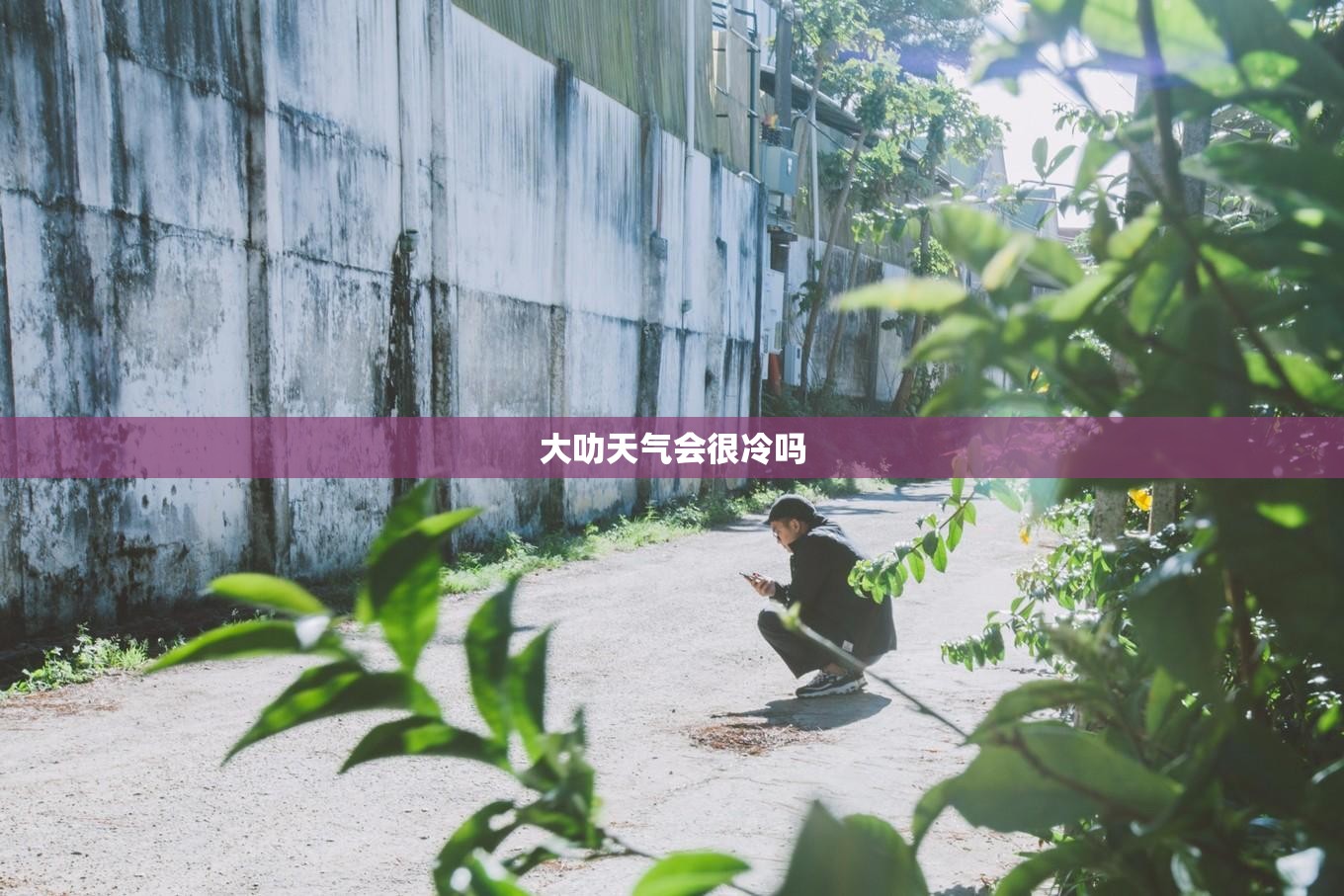 大叻天气会很冷吗 大叻天气会很冷吗