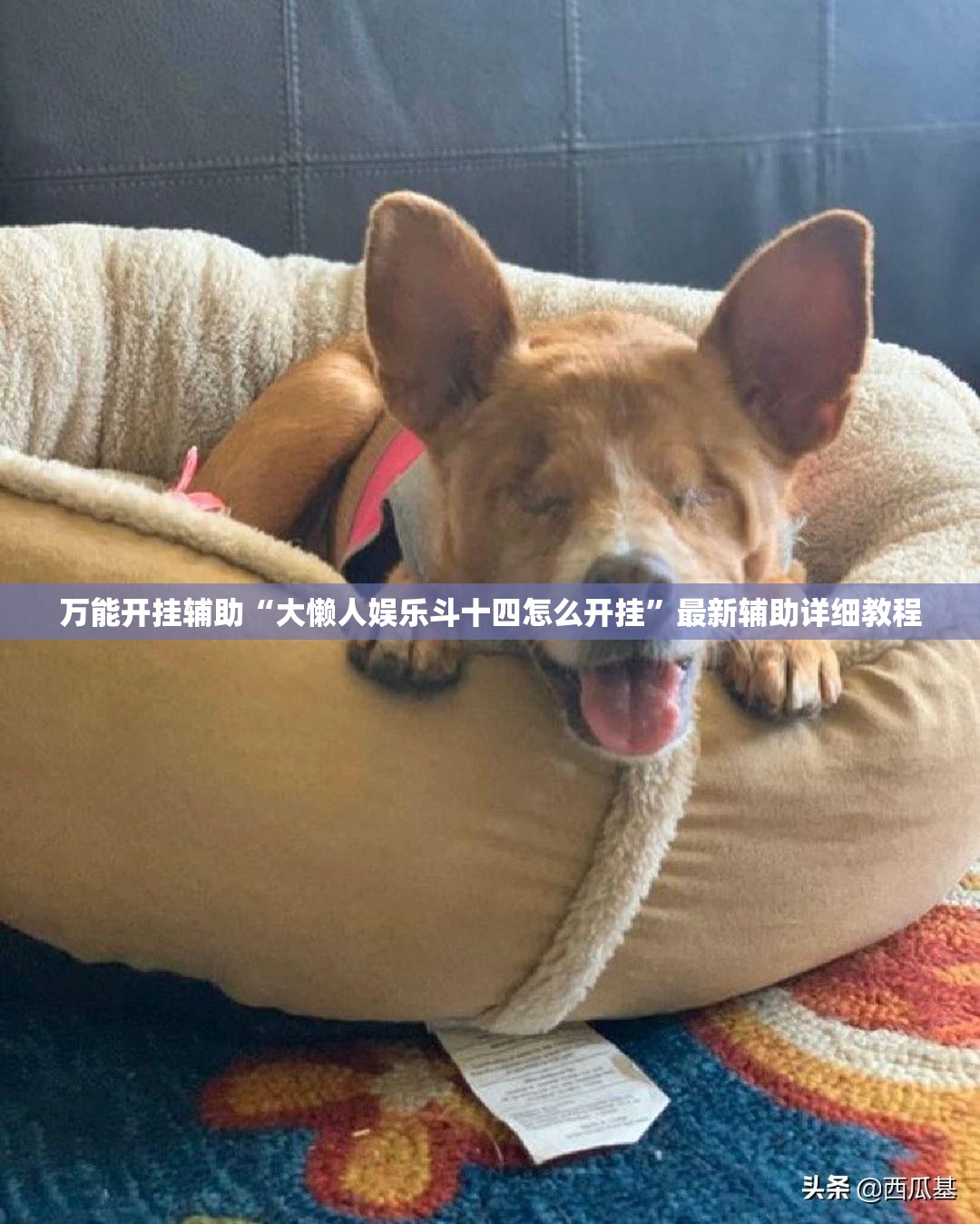 万能开挂辅助“大懒人娱乐斗十四怎么开挂”最新辅助详细教程