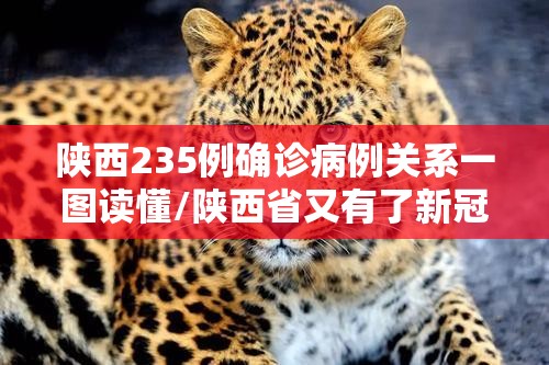 陕西235例确诊病例关系一图读懂/陕西省又有了新冠疫情