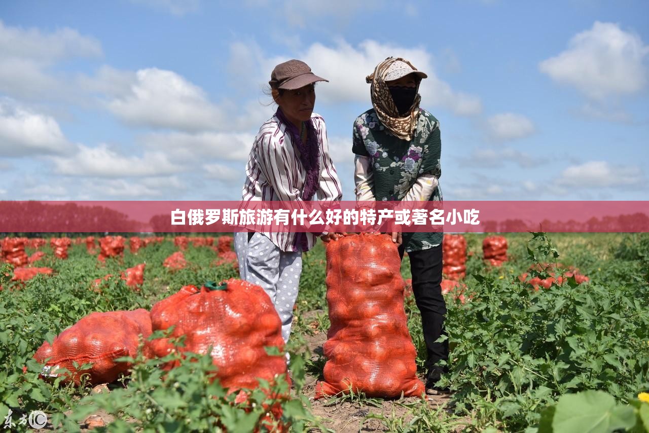 白俄罗斯旅游有什么好的特产或著名小吃 白俄罗斯旅游有什么好的特产或著名小吃